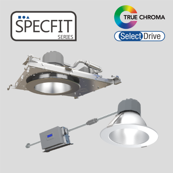 SPECFIT