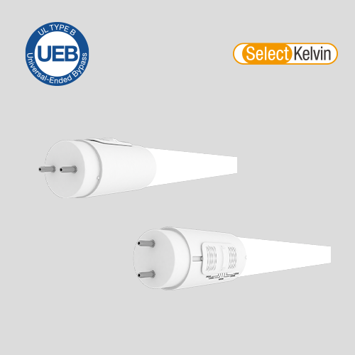 10T84F8CCTSUEBC (38677)