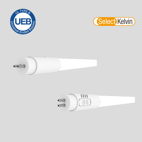 15T5HE4F8CCTSUEBC (38631)