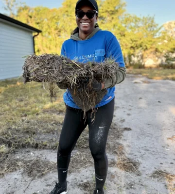 Micaelya Sunny Smile Laying Sod